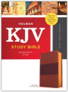 KJV Study Bible, Personal Size - Leathertouch  Mahogany